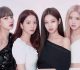 Who is the leader of Blackpink? The Secret of the Four Stars